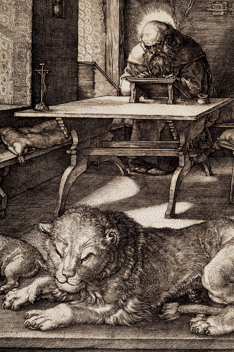   阿尔布雷特·丢勒Albrecht Dürer——素描与版画 (106)